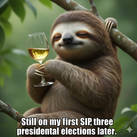 SIP with Sloths